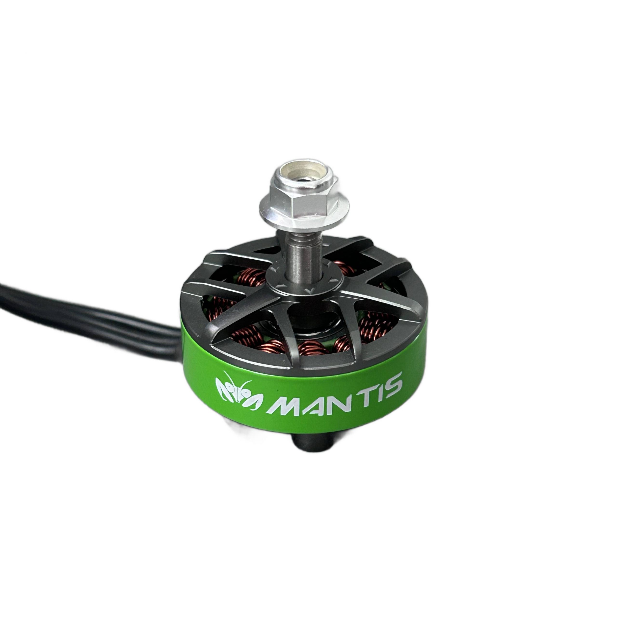 Mantis28071